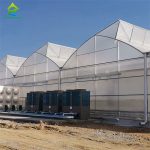 Multi-span film sawtooth greenhouse with intelligent control fertilization and irrigation system