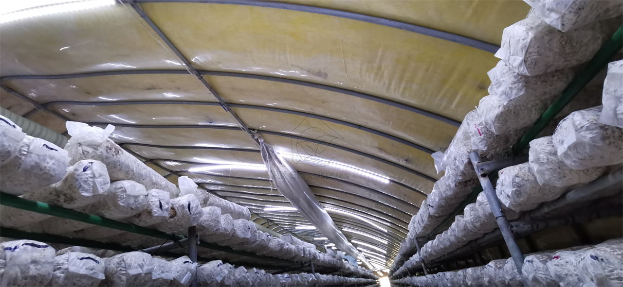 mushroom greenhouse