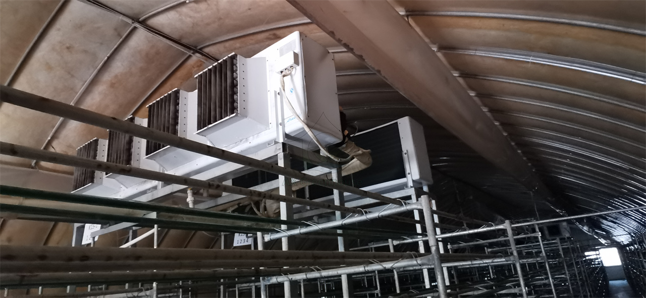 mushroom greenhouse ventilation system