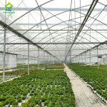 large space mulit-span tunnel film greenhouse for Crop planting