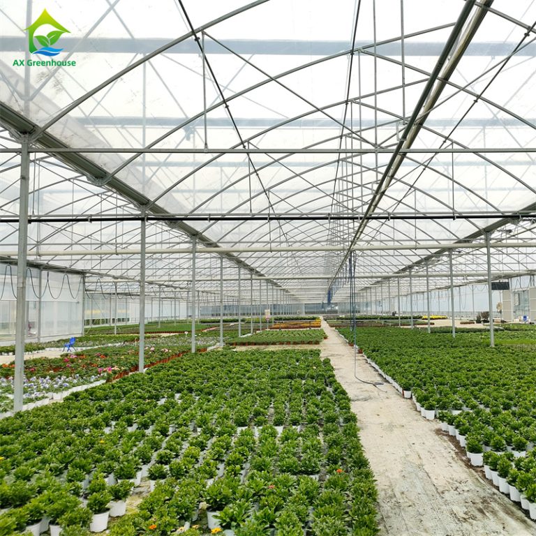 large space mulit-span tunnel film greenhouse for Crop planting