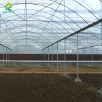 Multi-span tunnel greenhouse galvanized steel pipe frame