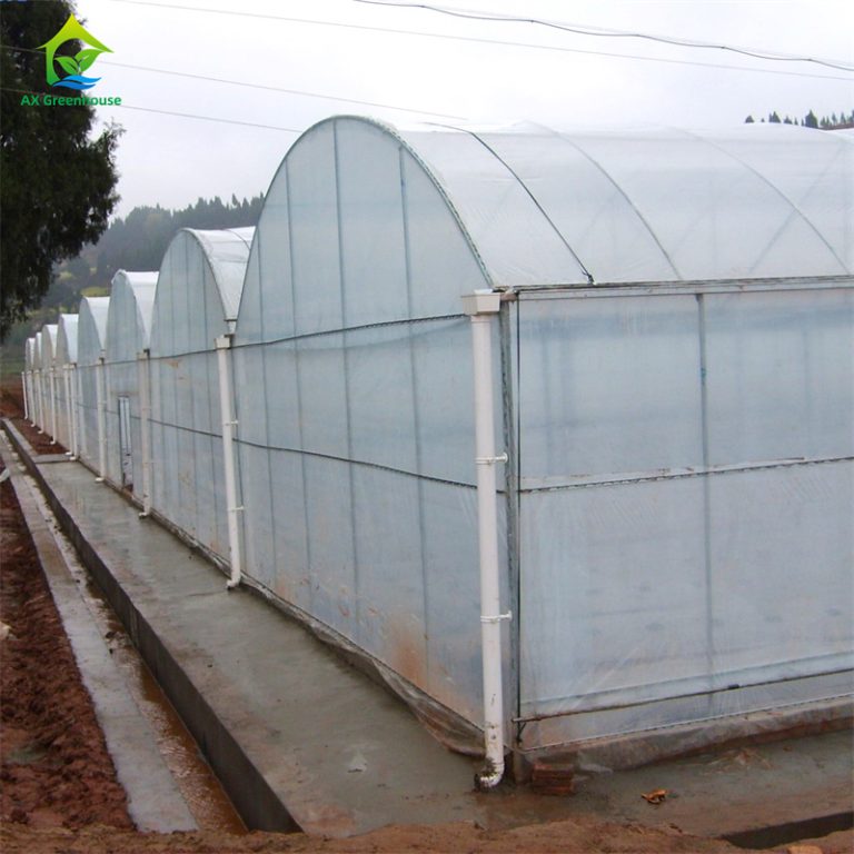 arch mulit-span transparent PE film greenhouse