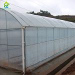 transparent PE film tunnel greenhouse