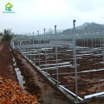 Greenhouse galvanized steel pipe frame installation