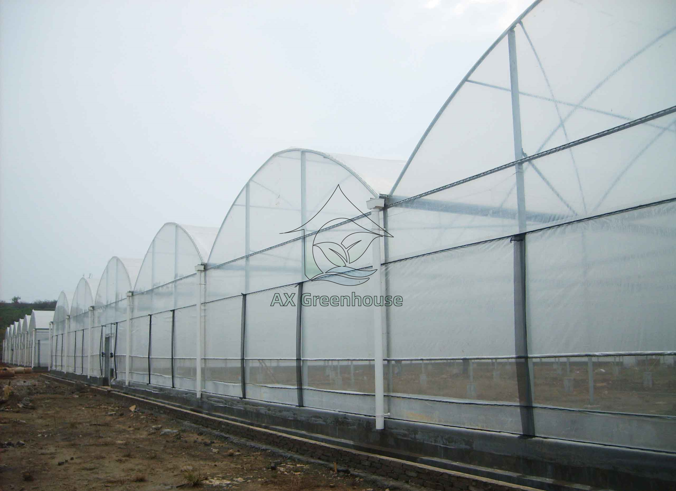 mulit-span tunnel film greenhouse