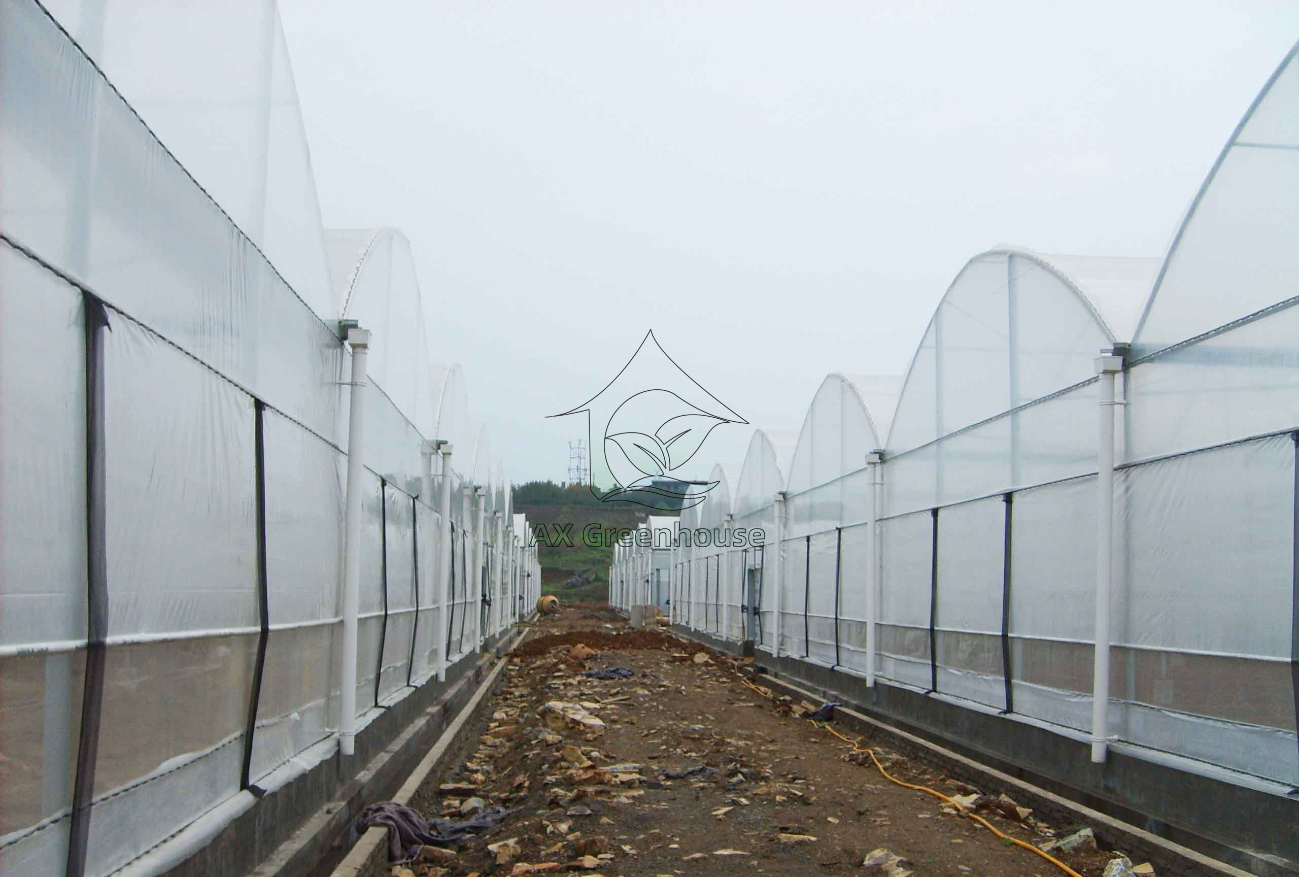 mulit-span tunnel film greenhouse
