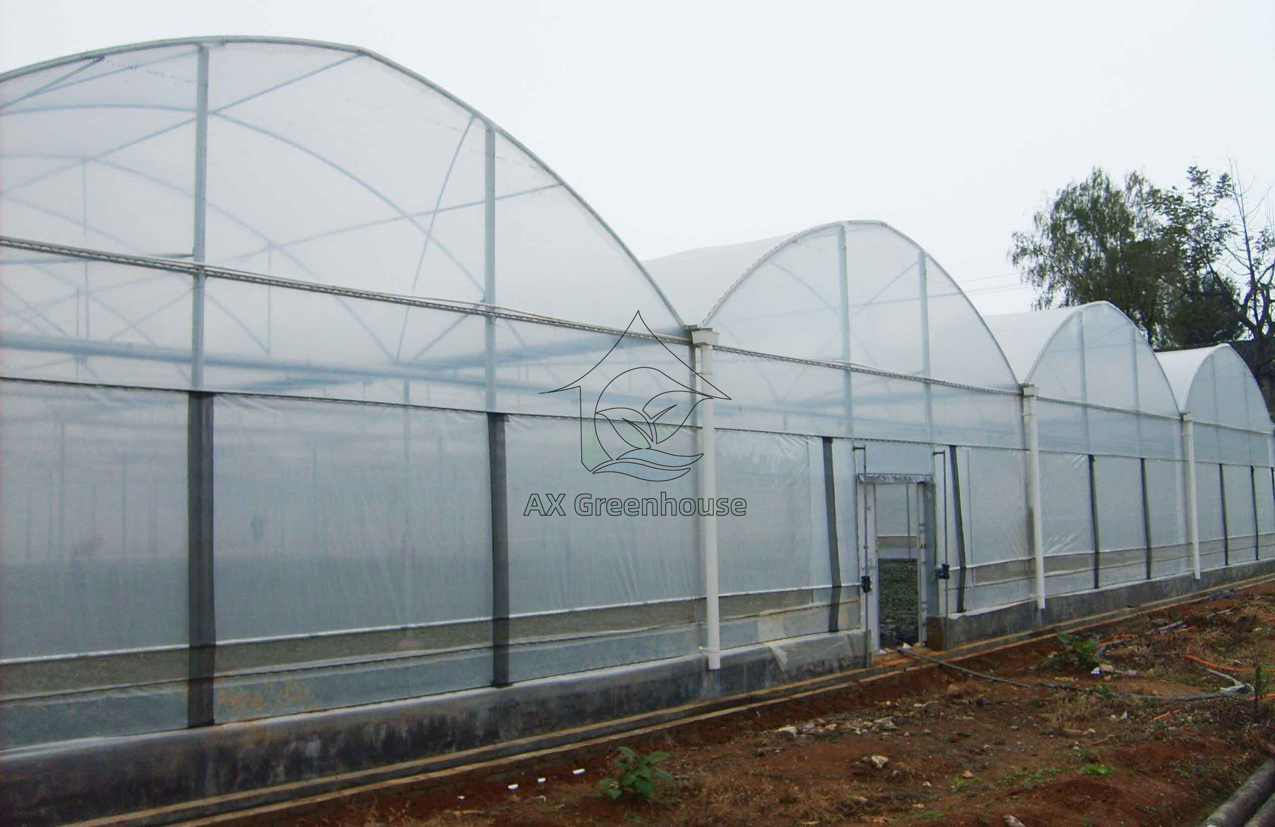 mulit-span tunnel film greenhouse