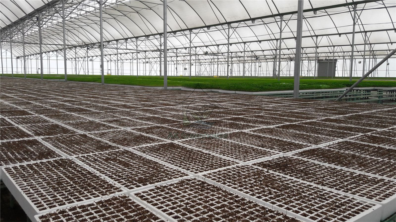 Multi-span film greenhouse for seedling cultivation