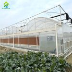 Multi-span film tunnel greenhouse with fan, wet curtain and external sunshade net