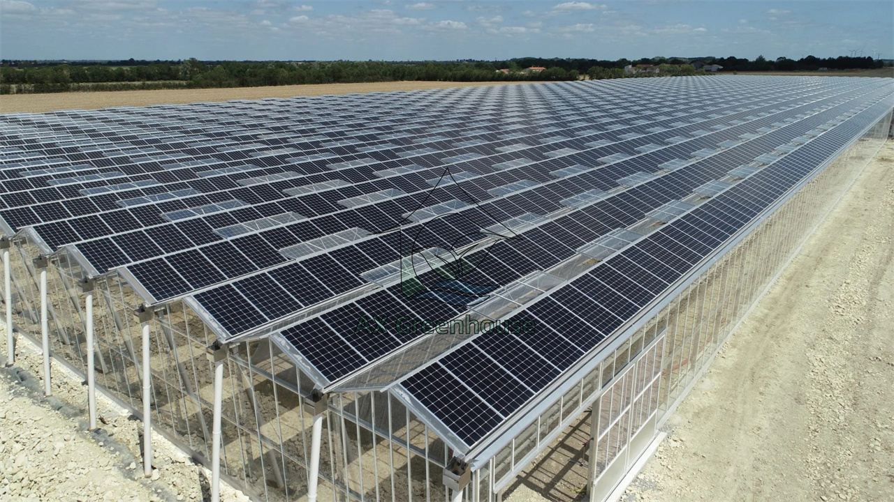 Multi-span Venlo polycarbonate solar photovoltaic greenhouse