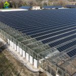 Multi-span Venlo polycarbonate solar photovoltaic greenhouse
