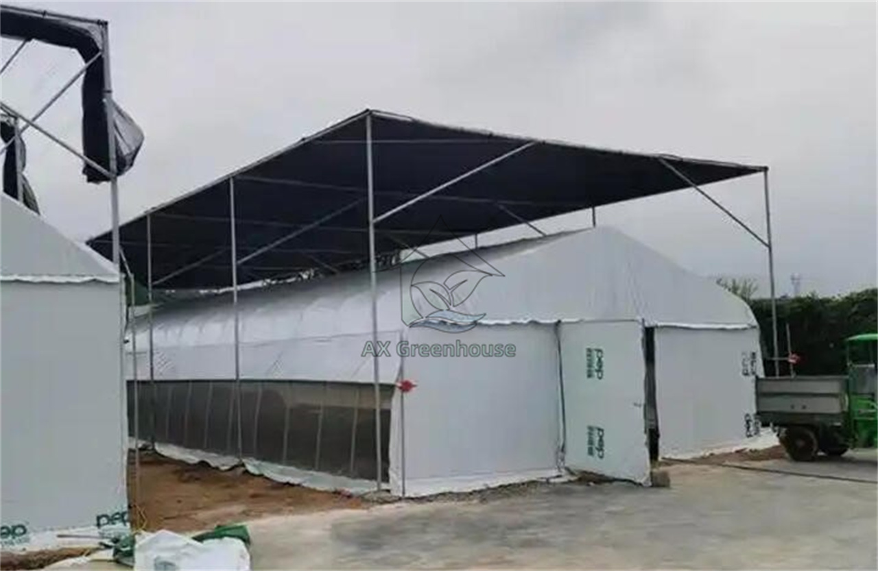 A-shaped single span tunnle blackout film greenhouse with Top sunshade net