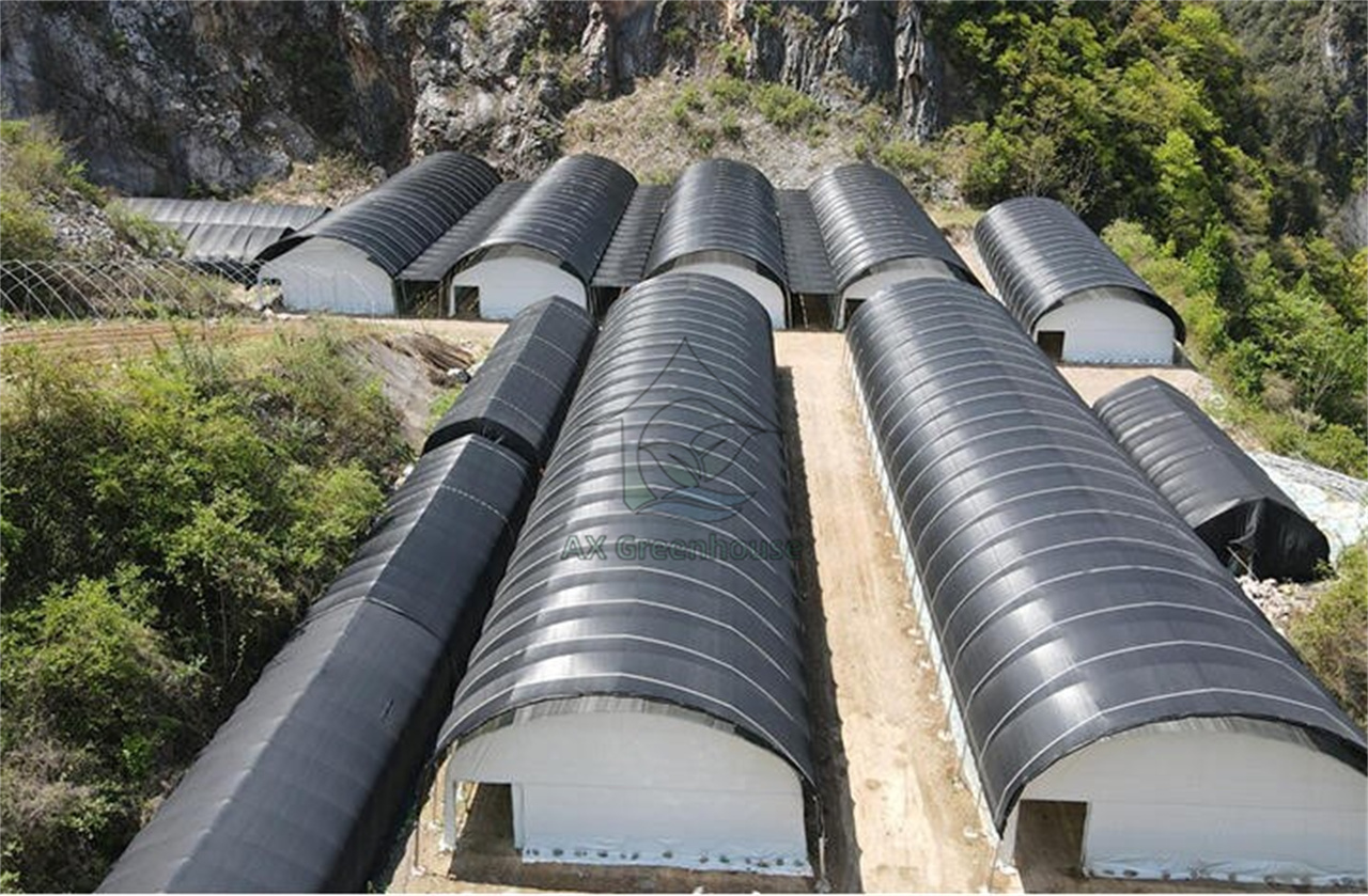 single span tunnel blackout film greenhouse with External sunshade