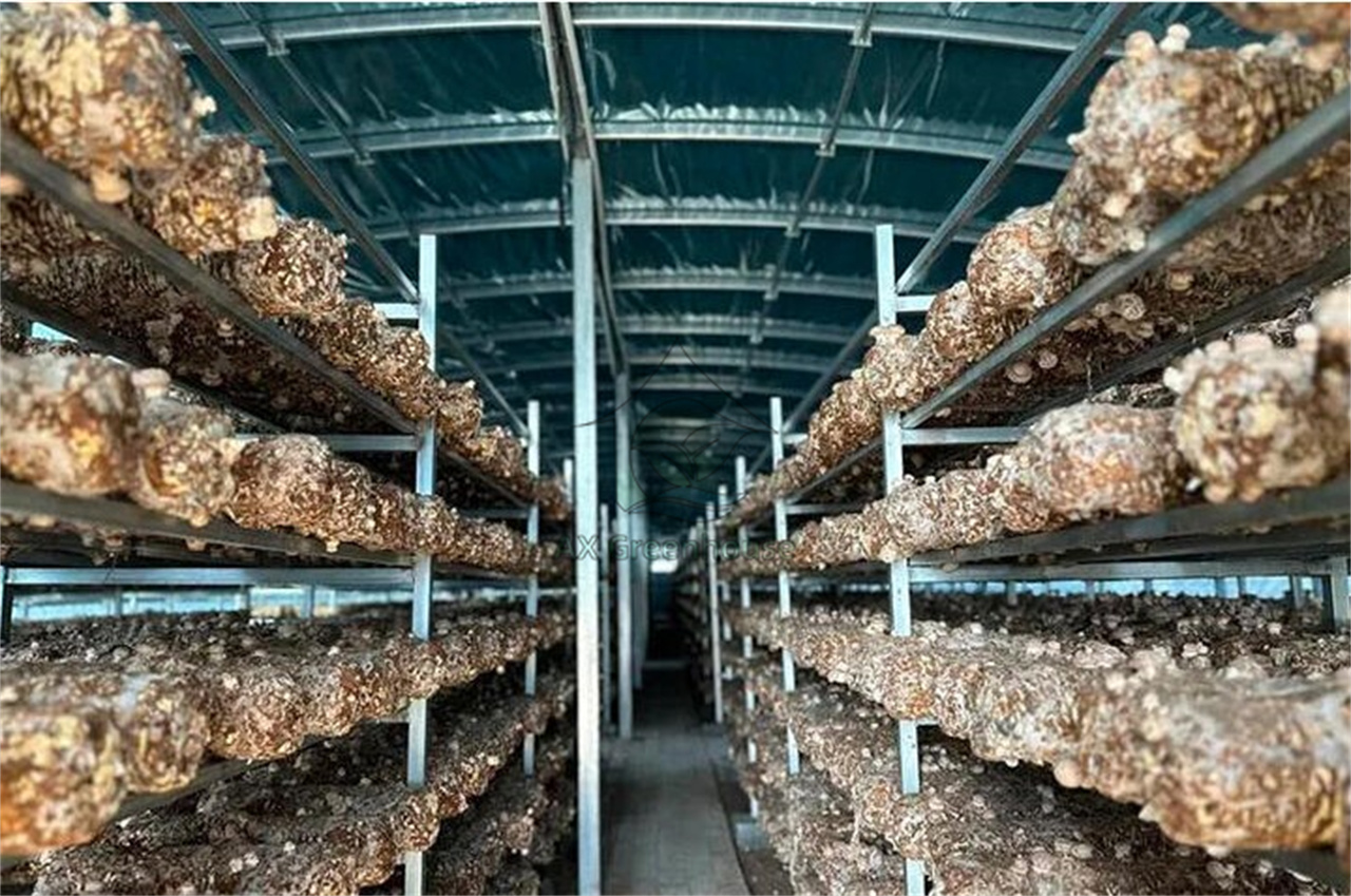 greenhouse for mushroom growing