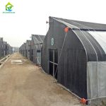 Sawtooth Shade Mushroom Greenhouse