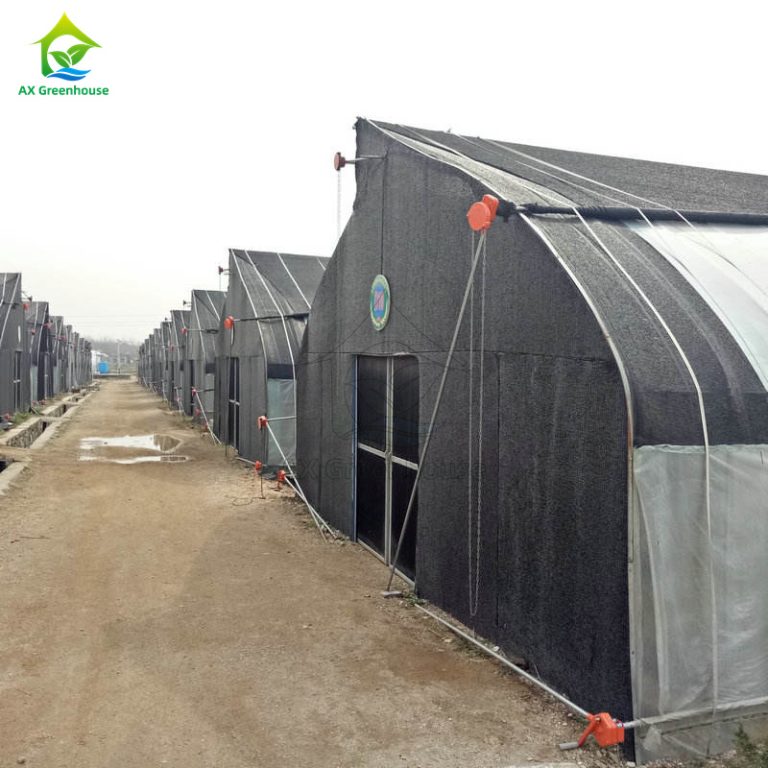 Sawtooth Shade Mushroom Greenhouse