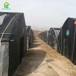 Sawtooth Shade Mushroom Greenhouse