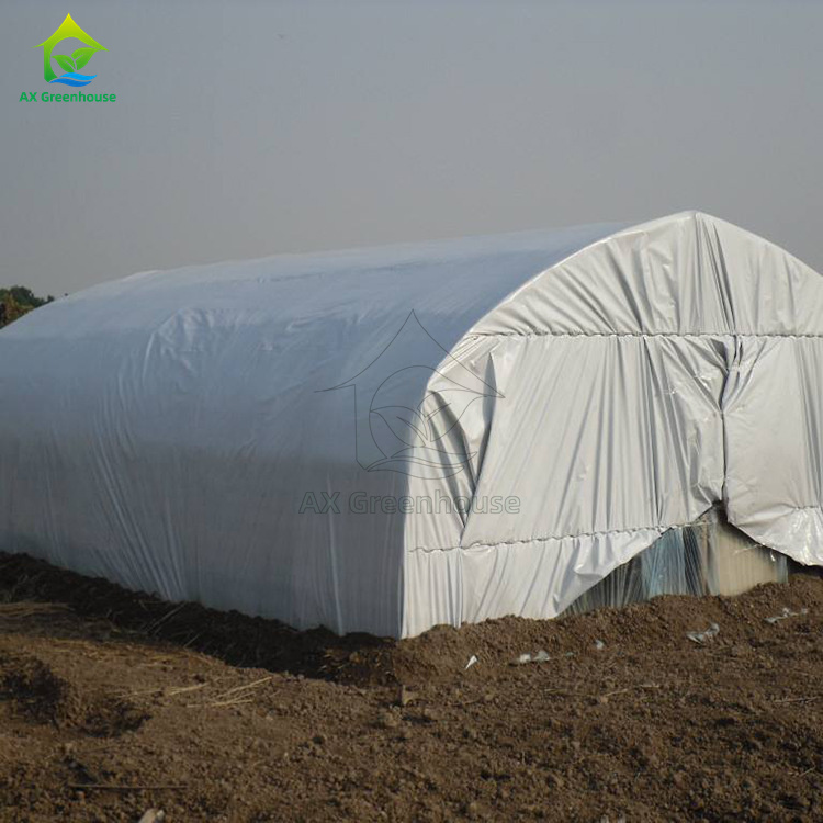 small size blackout PE film mushroom greenhouse