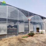 Hot-dip galvanized steel frame multi-span film greenhouse