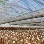 film greenhouse for tree planting