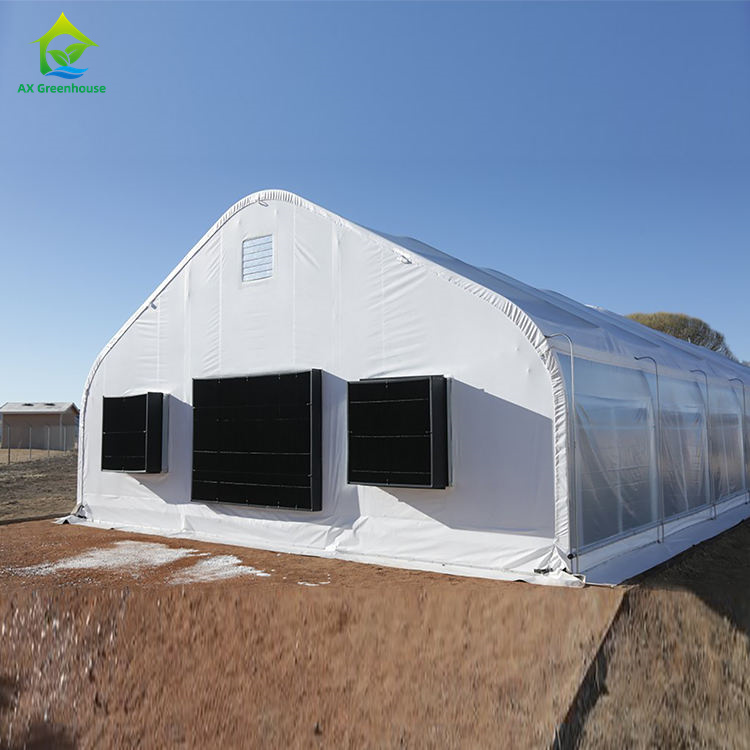Peach-top single-span blackout greenhouse