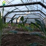 Inside of the agricultural Blackout greenhouse