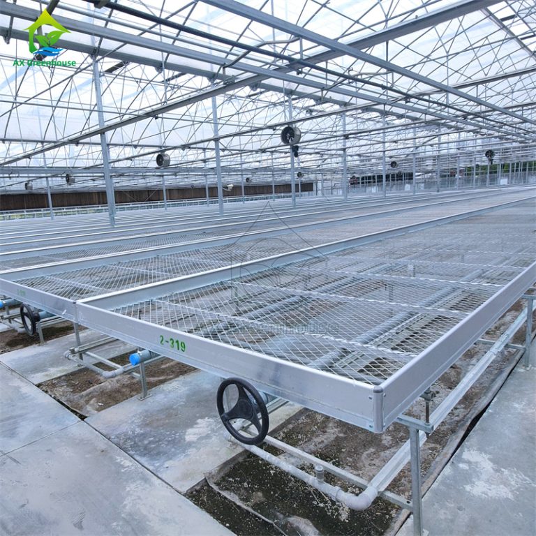 Planting flowers in wire mesh seedbeds in greenhouse