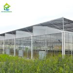 glass wall film Sawtooth roof mulit-span greenhouse