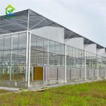 glass wall film Sawtooth roof mulit-span greenhouse