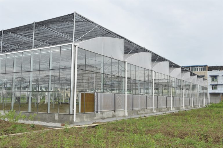 Multi-span connected glass sawtooth agricultural greenhouse