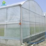 mulit span tunnel film greenhouse
