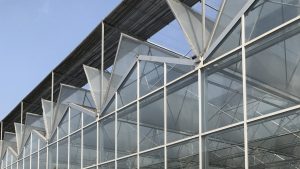 Multi-span peak glass greenhouse roof window ventilation
