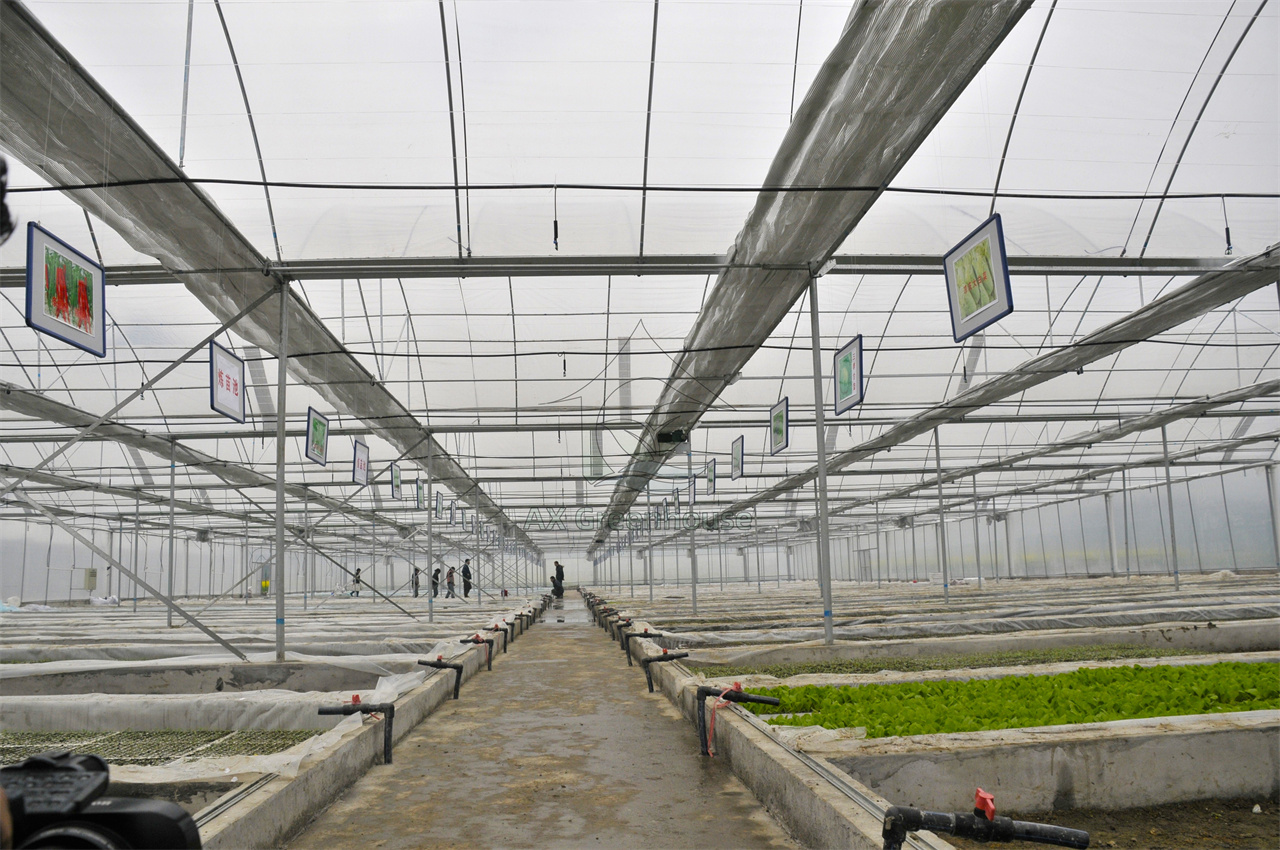 Large film greenhouse inside