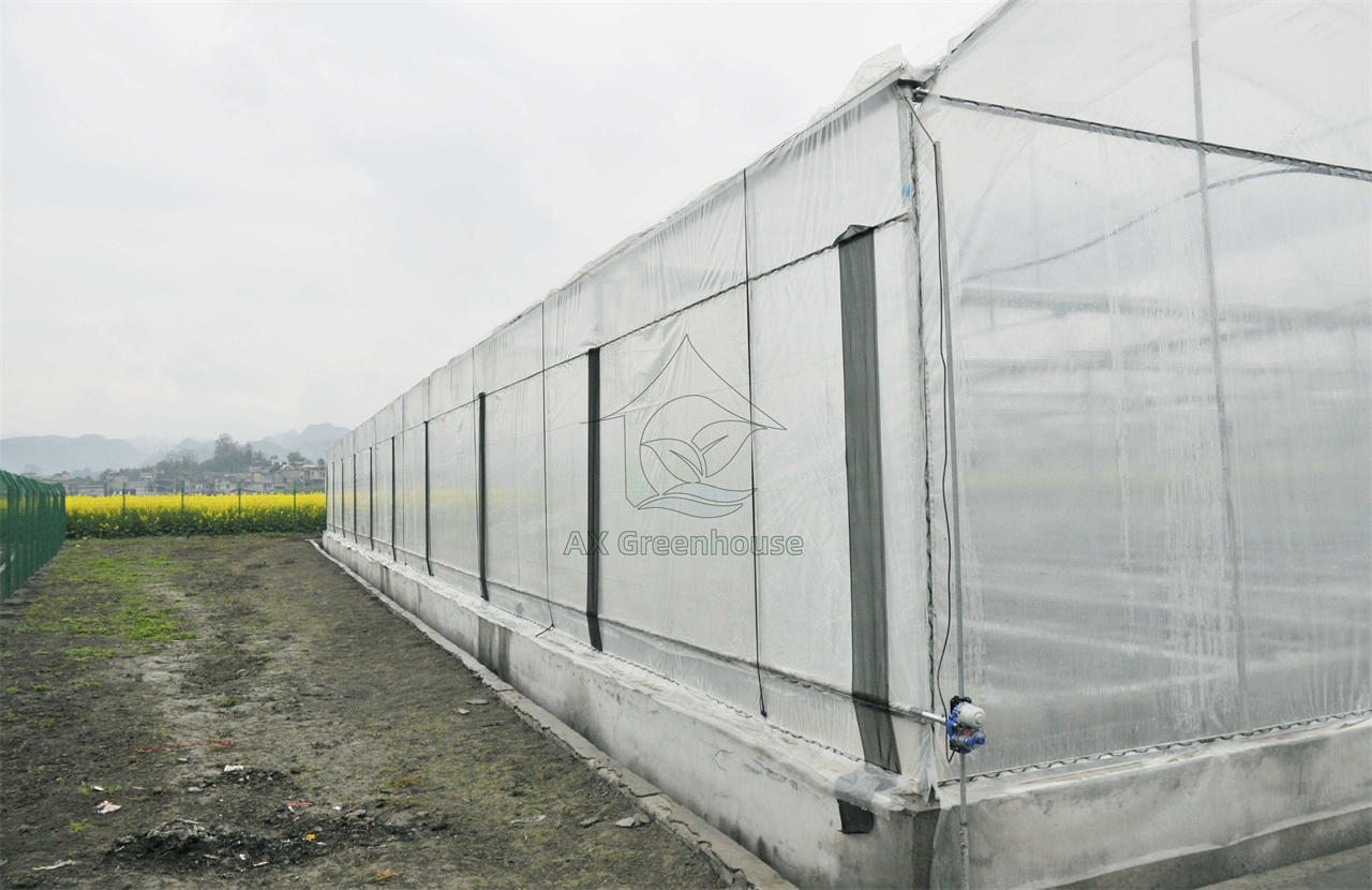 tunnel film greenhouse side wall