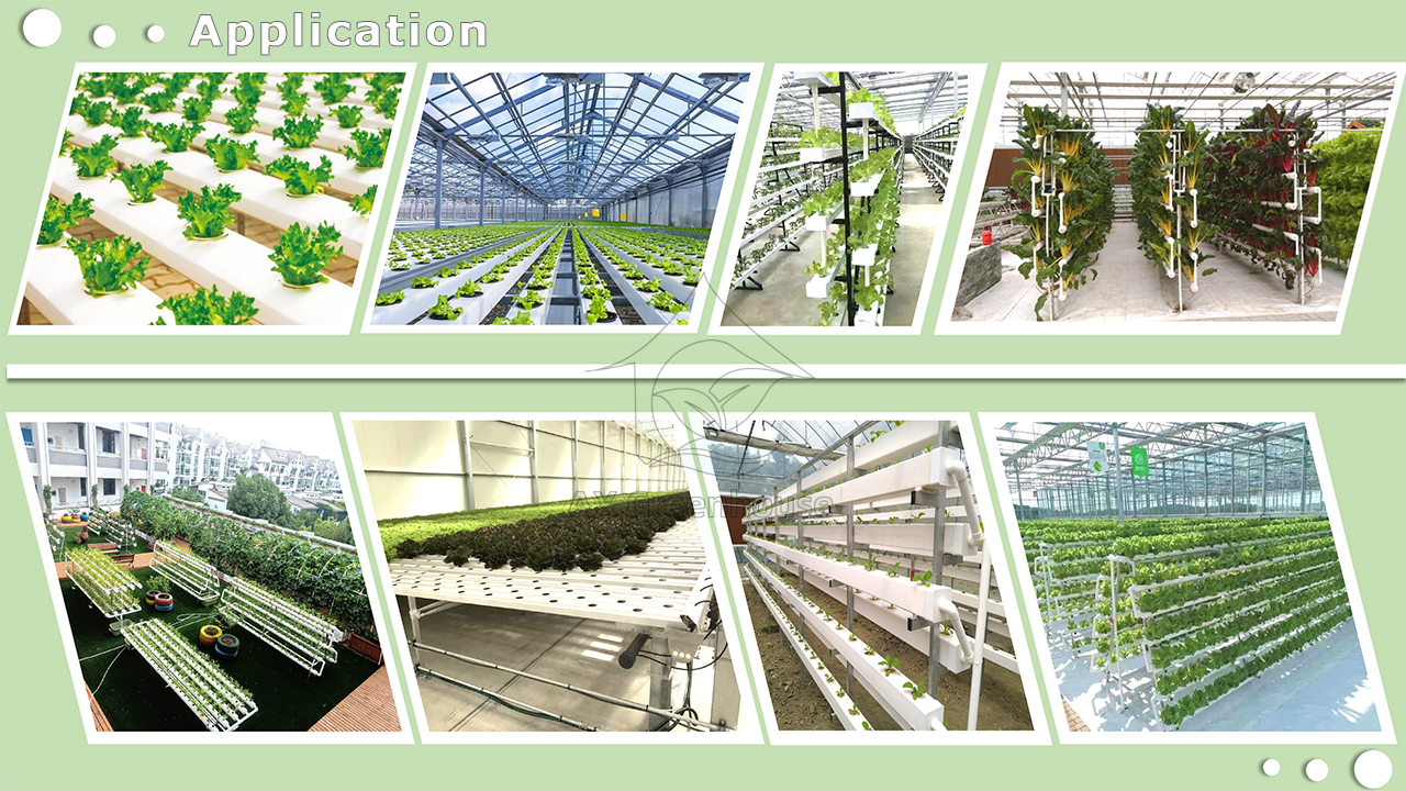 Soilless Cultivation  NFT hydroponics application