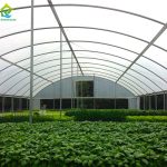 single span tunnel greenhouse for vegetable growing