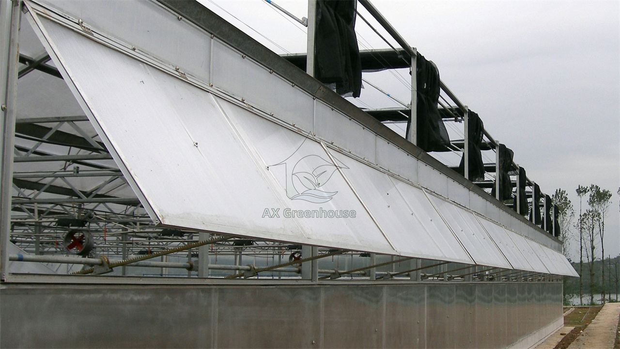 Polycarbonate greenhouse side wall window ventilation