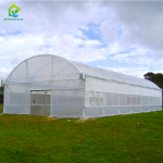 transparent arch single-span film tunnel greenhouse