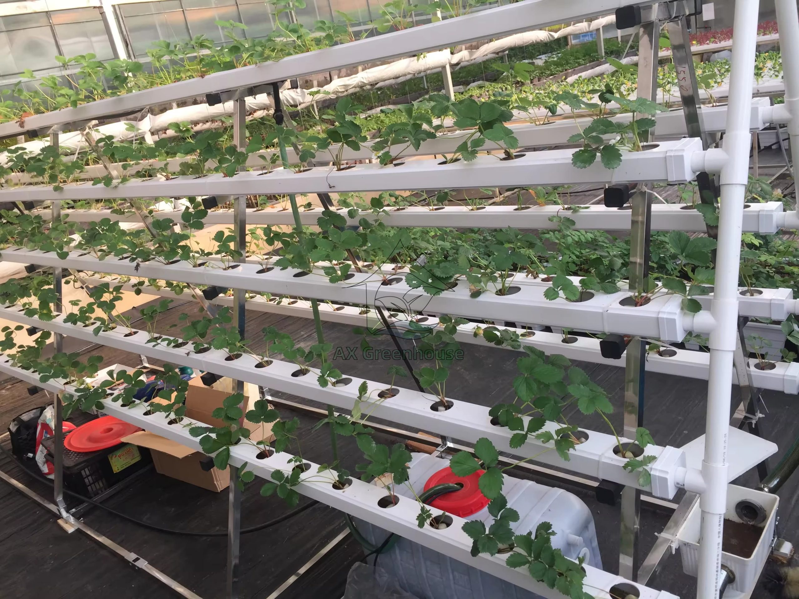 Soilless Cultivation Microgreens Hydroponics Systems A-shaped Multilayer Vertical Growing strawberry NFT System