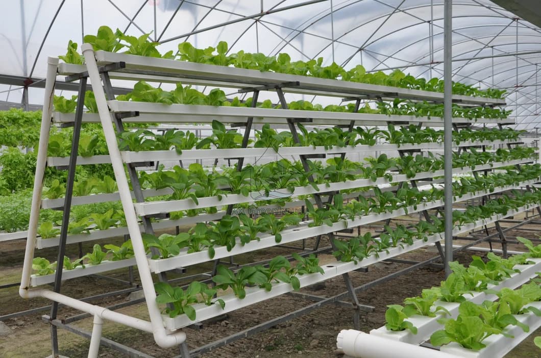 Soilless Cultivation Microgreens Hydroponics Systems A-shaped Multilayer Vertical Growing vegetable NFT System