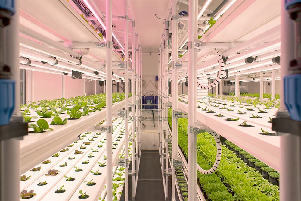 Container Farm Multi-layer Vertical NFT Hydroponic Soilless Cultivation System with LED Plant Growth Lights for Lettuce Growing