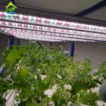 Container Farm Multi-layer Vertical NFT Hydroponic Soilless Cultivation System with LED Plant Growth Lights for Lettuce Growing