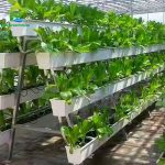 Multilayer Structure A-frame PVC Planting Troughs Greenhouse Vegetable Growing System