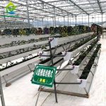 Multilayer Structure A-frame PVC Planting Troughs Greenhouse Strawberry Growing System