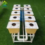 Soilless cultivation Hydroponic Dutch Bucket Growing Systems