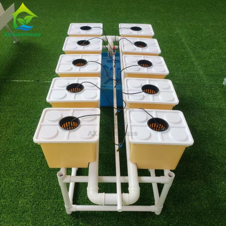 Soilless cultivation Hydroponic Dutch Bucket Growing Systems
