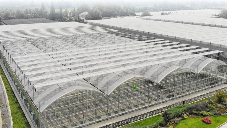 multi-span tunnel greenhouse with external shading system