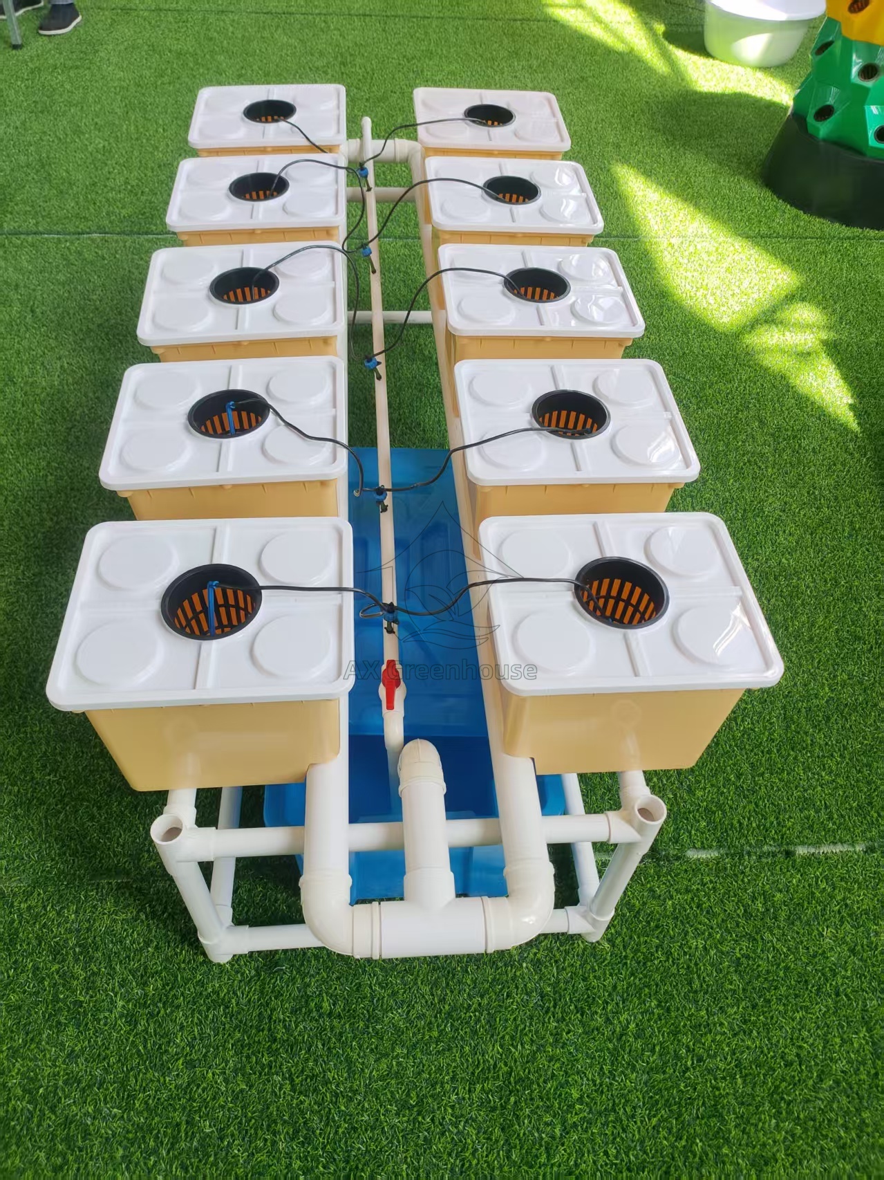 Soilless cultivation Hydroponic Dutch Bucket Growing Systems