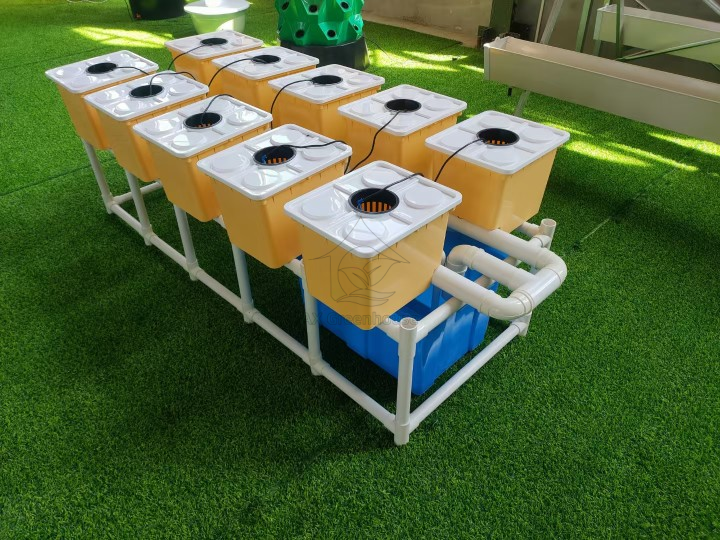 Soilless cultivation Hydroponic Dutch Bucket Growing Systems